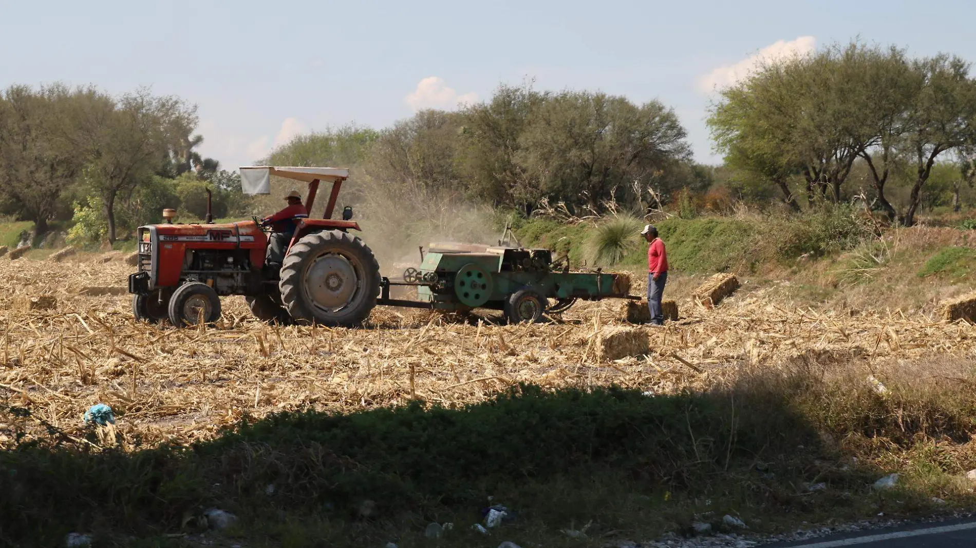 CAMPESINOS F BEG (1)